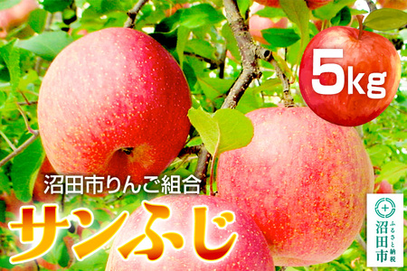 《12月下旬～1月中旬発送》沼田市りんご組合 りんご（サンふじ）約5kg 群馬県沼田市