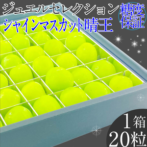 ぶどう 2026年 先行予約受付中 シャインマスカット晴王 ジュエルセレクション 1箱20粒 岡山
