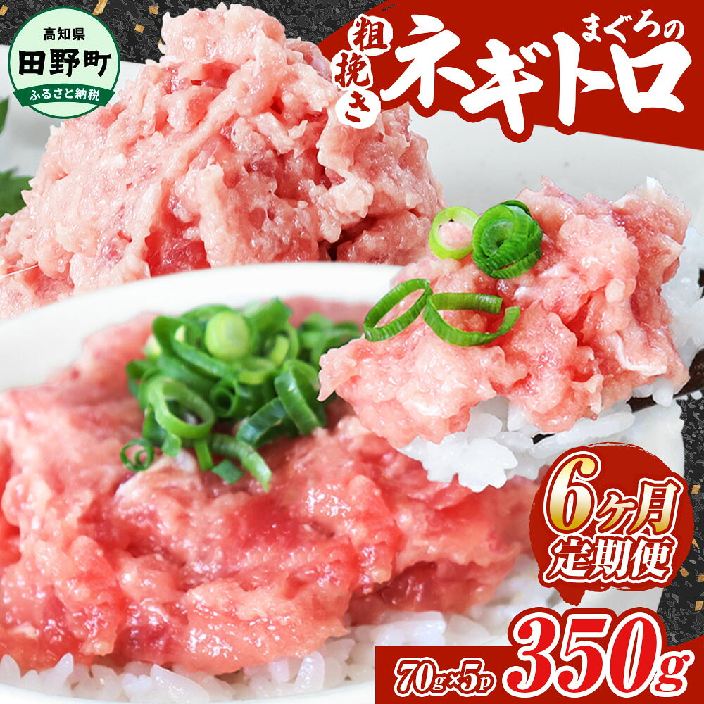 【ふるさと納税】ネギトロ 350g（70g×5パック）×6ヶ月定期便 ≪カネアリ水産≫ ねぎとろ まぐろ 鮪 マグロ キハダマグロ まぐろたたき 粗挽き 小分け パック 海鮮 魚介 便利 簡単 冷凍 配送 高知県 田野町 ふるさとのうぜい 故郷納税 返礼品 ～四国一小さなまち～