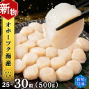 ホタテ 北海道産 冷凍 貝柱 500g(250g×2個セット)【頓別漁業協同組合】刺身 玉冷 むき身 オホーツク海産 小分け ギフト ほたて 帆立北海道ふるさと納税 ふるさと納税 北海道 浜頓別 通販 贈答品 贈り物