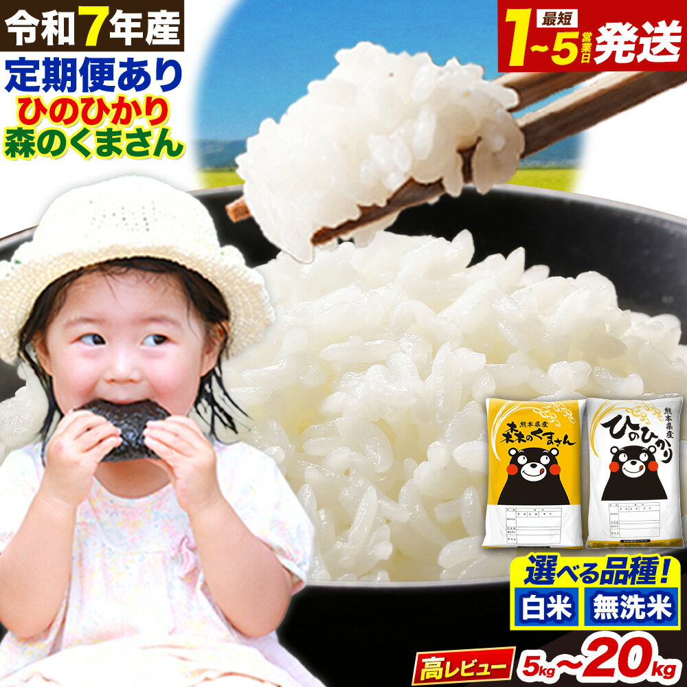 定期便 あり 無洗米 も選べる ひのひかり 10kg 5kg×2袋