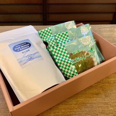 ふるさと納税 城里町 珈琲豆とこちゃレーヌ3個【桂の清風】