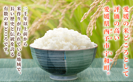 新米＜令和7年産 コシヒカリ 約5kg 西予市宇和町産＞ 5キロ 白米 精米 こしひかり 米 お米 コメ こめ 宇和米 新米 うわまい ご飯 ごはん ライス 送料無料 産地直送 天川農園 愛媛県 西予