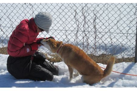 日本捜索救助犬協会の活動を応援！3万円 【被災地支援 感謝状 埼玉県 救助犬育成 犬猫保護 社会貢献活動】