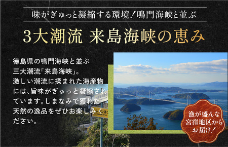今治産しまなみわかめ 1袋 [V002520]