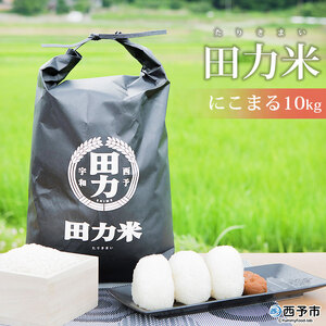 新米＜令和6年産 田力米 10kg にこまる＞お米 こめ コメ 白米 精米 ご飯 ごはん 特産品 産地直送 田力本願 愛媛県 西予市【常温】『2024年10月下旬より順次出荷予定』UTH0008