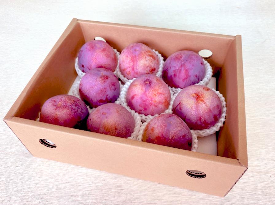 貴陽
