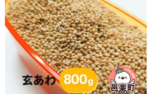 玄あわ 800g×1袋 サイトウ・コーポレーション 飼料