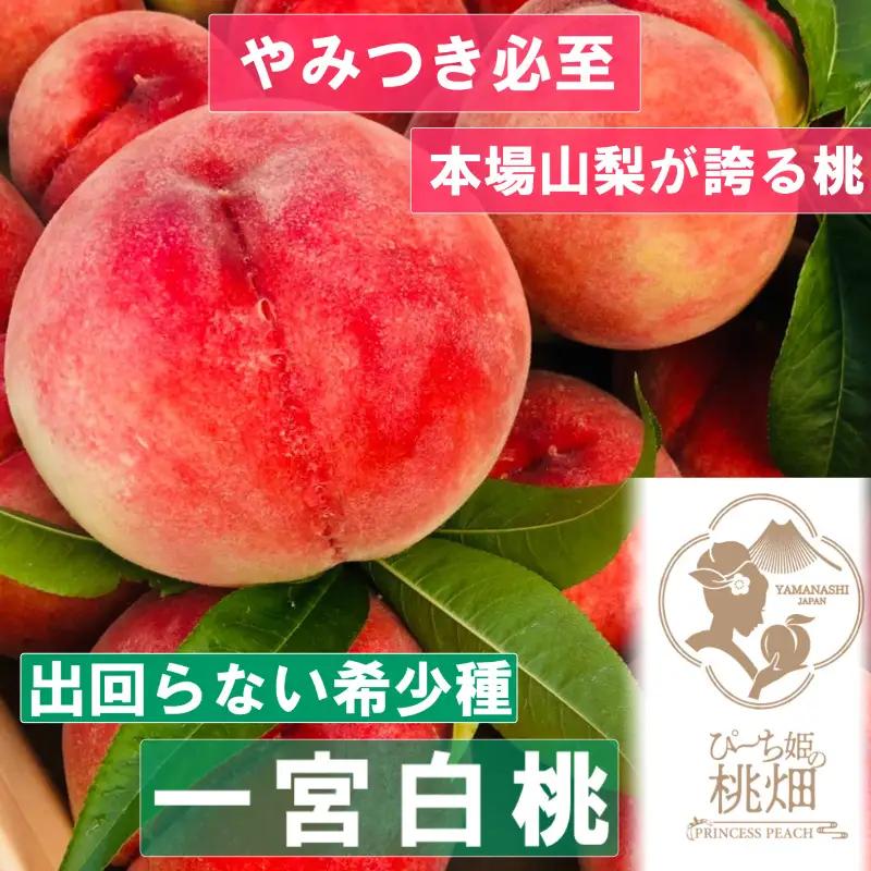 【スーパーに出回らない一宮白桃ブランド】滅多にお目にかからない希少 人気No.1の品種 約1kg【2026年発送】（PMK）B17-102  【一宮白桃 桃 もも モモ 令和8年発送 期間限定 山梨県産 甲州市 フルーツ 果物】