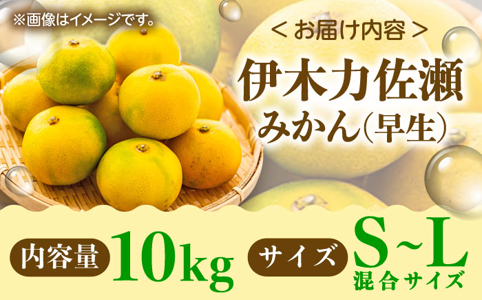 伊木力佐瀬みかん（早生）10kg（混合サイズ：S〜L）/ みかん ミカン 蜜柑 フルーツ 果物 / 諫早市 / 山田果樹園 [AHAJ001]