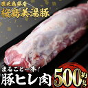 【ふるさと納税】鹿児島県産 桜島美湯豚ヒレ肉(約500g)豚肉 豚 肉 赤身 ヒレ ヒレ肉 豚ヒレ肉 とんかつ ソテー テキかつ ロースト 焼き豚 国産 鹿児島産 冷凍【森商店】A1-30106