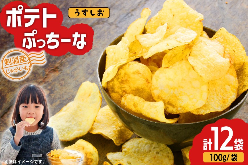 
                  【期間限定発送】 ポテトチップス うすしお 100g 12袋入 ポテトぷっちーな [レークサイド桜岡 北海道 剣淵町 14656461] ポテチ しお お菓子 スナック菓子 チップス じゃがいも
                