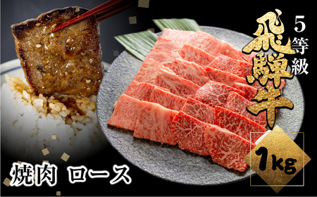 飛騨牛ロース焼肉 1kg(500g×2) 焼き肉 BBQ 国産牛 国産 牛肉 肉 厳選 熟成 贈答用 肉の沖村[Q1084]