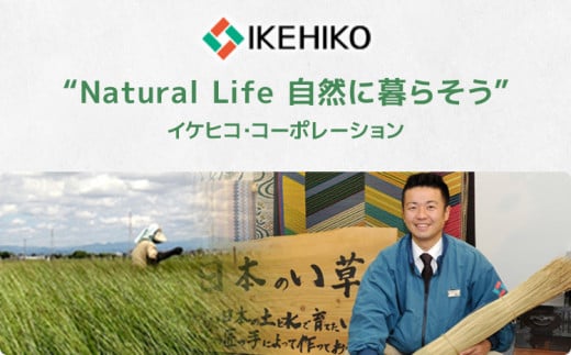 ウィルトンカーペット ロザリオ 200×250ｃｍ ＲＯ イケヒコ・コーポレーション AA466