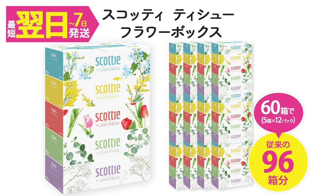
                  スコッティ ティシュー フラワーボックス 250組 (5箱×12パック・計60箱)【fc-AS002-A】【日本製紙クレシア株式会社】
                