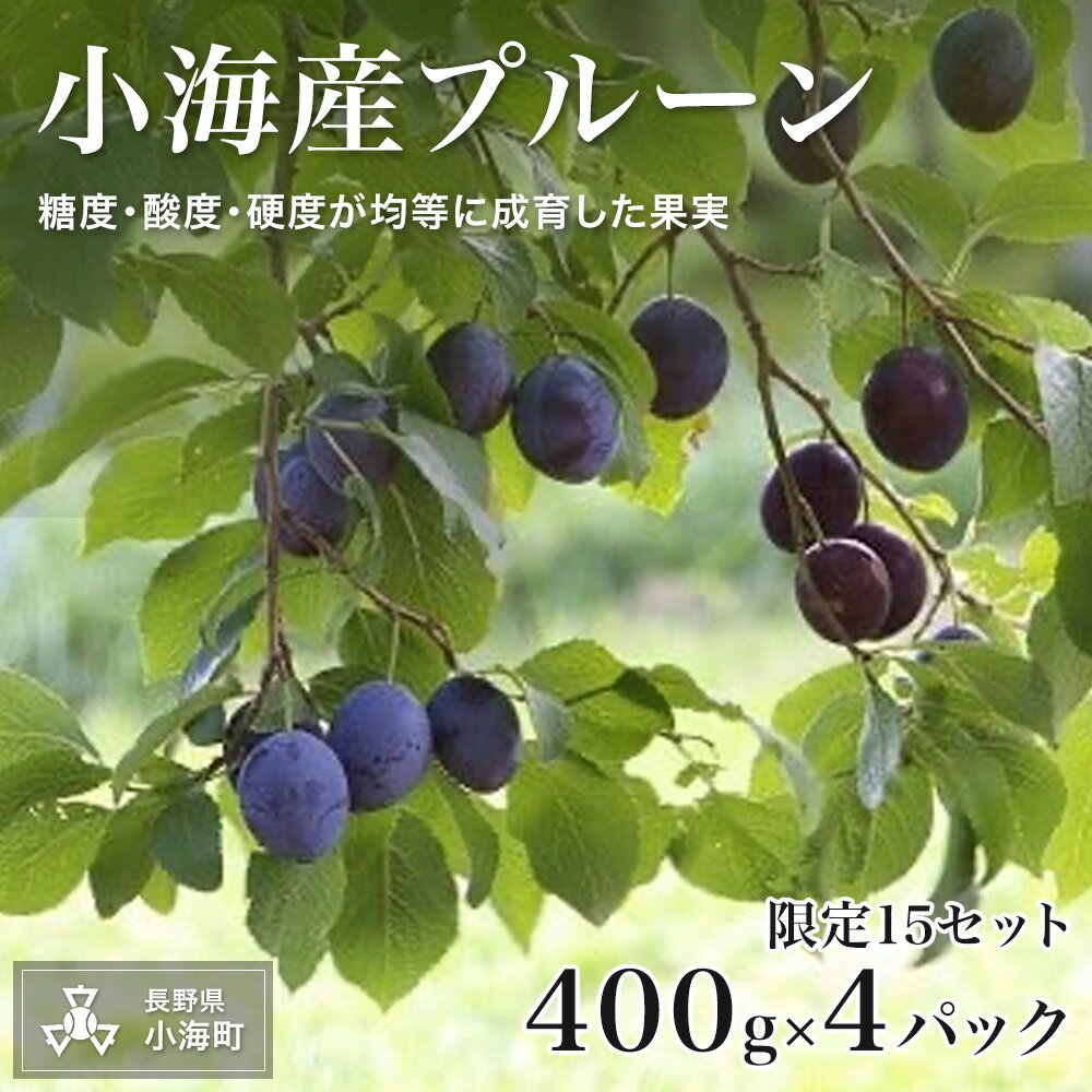 【ふるさと納税】小海産プルーン 400g×4パック【先行予約】| 長野 小海町 プルーン 果物 甘い 酸味