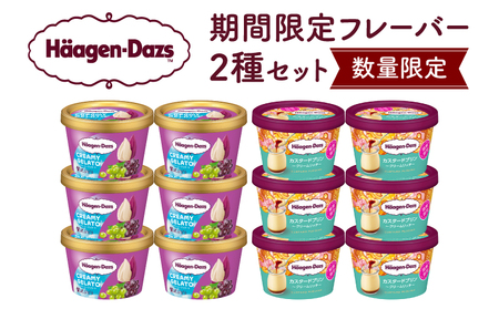 【数量限定】ハーゲンダッツ ミニカップ 12個 (CREAMY GELATO 贅沢ぶどう＆カスタードプリン)アイス ジェラート_H0016-168