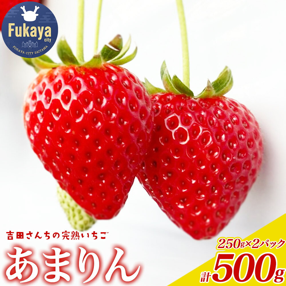 【ふるさと納税】＜先行予約＞吉田さんちの完熟苺「あまりん」500g【11218-0846】フルーツ 旬 産地 直送 フレッシュ 新鮮 朝採れ 採れたて 果物 贈り物 食べ比べ 吉田 深谷市 埼玉県