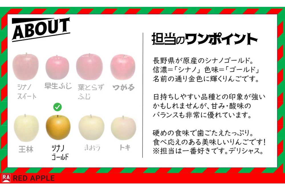 【25年11月発送】りんご【訳あり】家庭用 シナノゴールド 約10kg