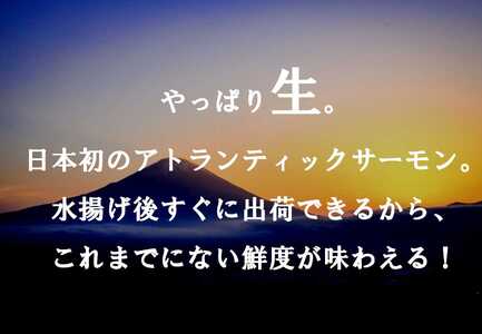 C49【1月31日(金)発送】日本初！今話題の国産アトランティックサーモン「FUJI ATLANTIC SALMON」【生】600ｇ｜鮭 サーモン アトランティックサーモン 国産サーモン