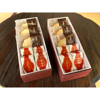 ふるさと納税 大仙市 【菓子司つじや】とうふかまぼこ・三杯もち　一口サイズ詰め合わせ(梅)×2箱