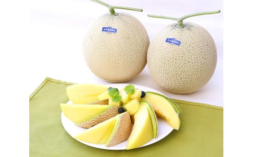高知県南国市産／贈答用マスクメロン（4個）【メロン フルーツ くだもの デザート 高評価 厳選 高級 ギフト 贈り物 人気 おすすめ】【メロン マスクメロン フルーツ 果物 くだもの 食品 デザート 