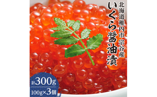 
＜ 北海道 稚内市 宗谷産 ＞ いくら 醤油漬 100g × 3個 _ イクラ いくら醤油漬け 鮭いくら 鮭イクラ 鮭 秋鮭 魚卵 魚 魚介 小分け 北海道産 国産 海鮮 人気 ランキング 送料無料 【1258389】
