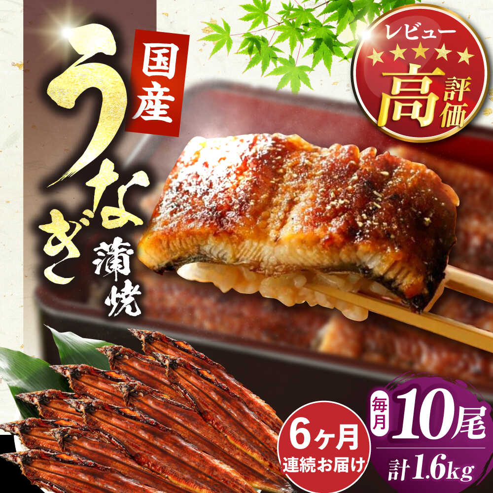 【ふるさと納税】【全6回定期便】福岡県産 うなぎ 蒲焼 大 10尾　計1600g（1尾あたり 160g以上）《豊前市》【福岡養鰻】 国産 鰻 ウナギ 蒲焼き[VAD028] 354000 354000円