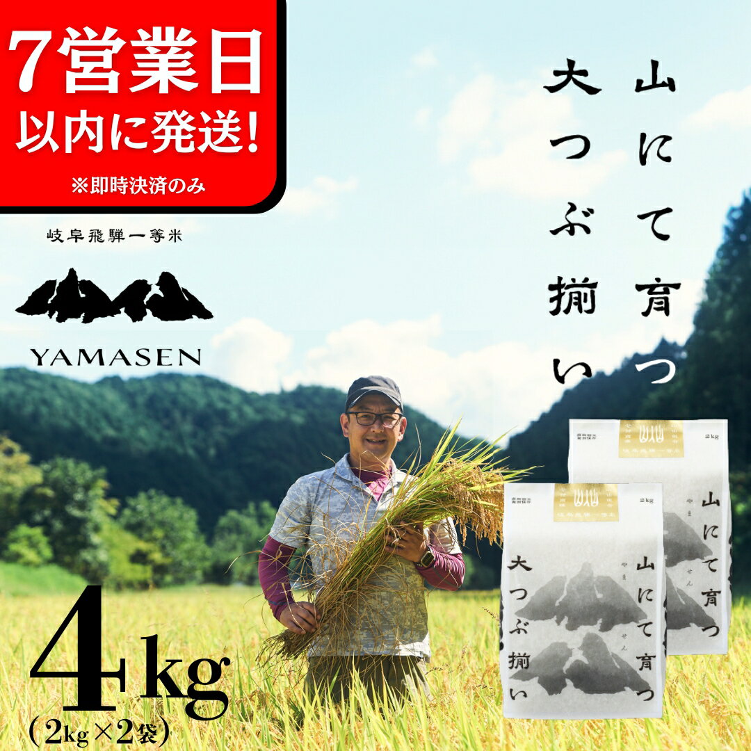 【ふるさと納税】【令和6年産米】【令和7年産】山仙 (いのちの壱) 4kg ( 2kg × 2袋 ) すがたらいす 下呂市 金山産 4キロ 米 2024年産 お米 精米 白米 いのちのいち やません ご飯 ごはん 農家直送 送料無料 令和6年 令和7年 7年産 2025年 2025年産 新米 先行予約