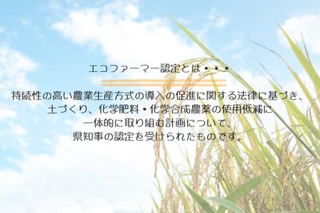 ＼令和5年産 新米／ 東庄町産【エコファーマー認定】コシヒカリ 白米10kg