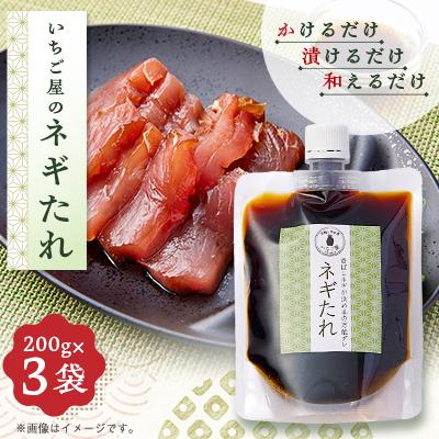 ふるさと納税 岬町 《3袋入り》万能調味料「ねぎタレ」便利なチューブパウチ　保存料・着色料無添加