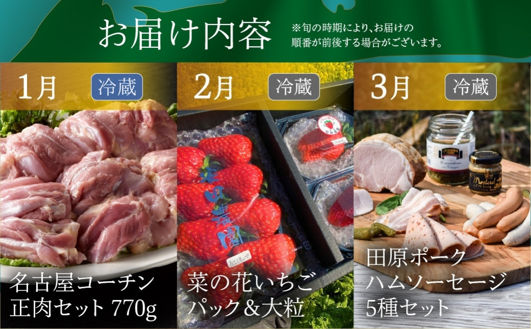 
            渥美半島の恵み どうまい 定期便 プレミアム 全12回 （ うなぎ いちご 地鶏 名古屋コーチン メロン マスクメロン ブランド豚 田原ポーク ハム ソーセージ  とうもろこし サーモン 海鮮 フルーツ 牛肉 青うなぎ など ) 果物 人気  12か月
          