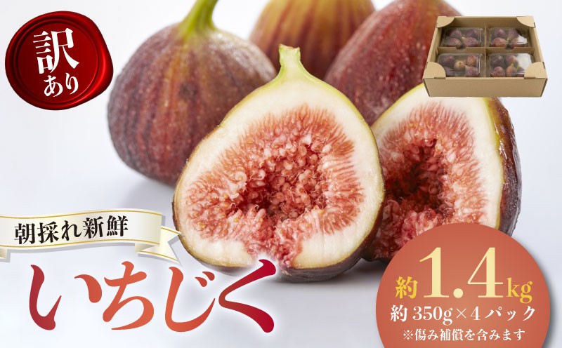 
                  【先行予約】【2026年8月中旬~出荷】訳ありいちじく 約350g×4パック 計約1.4kg  冷蔵 果物 くだもの デザート 旬 贈答用 ギフト プレゼント おやつ 朝採れ 新鮮 ご褒美 国産 ジャム なめらか 産地直送  期間限定 数量限定 お取り寄せ ふるさと納税いちじく ふるさと納税果物 ふるさと納税フルーツ 人気 愛知県 南知多町 【配送不可地域：北海道 東北 九州 沖縄 離島】
                