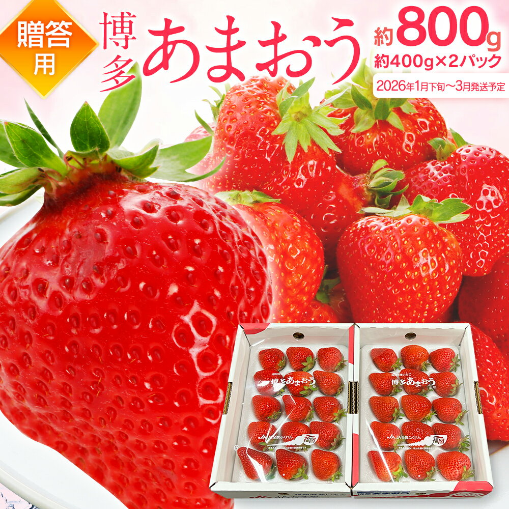 【ふるさと納税】先行予約 あまおう 合計約800g 約400g×2パック（1パックあたり、9玉〜18玉） 福岡県産 九州 イチゴ いちご 苺 果物 くだもの フルーツ 送料無料【2026年1月下旬～3月発送予定】