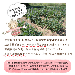 トマトピューレ4点セット【雫石創作農園】/ トマト トマトピューレ 