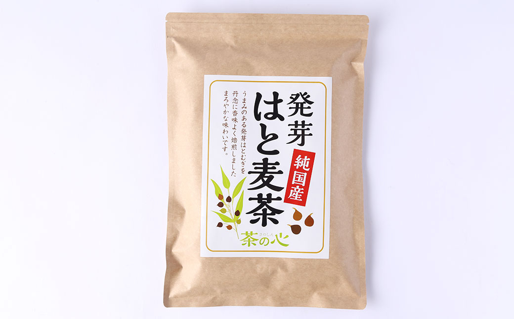 【6回定期便】国産はと麦茶 60包×2袋