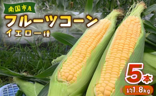 南国フルーツコーン イエロー種 5本 | とうもろこし セット 国産 詰合せ 期間限定 数量限定 人気 高知県 南国市 農園けんぴ