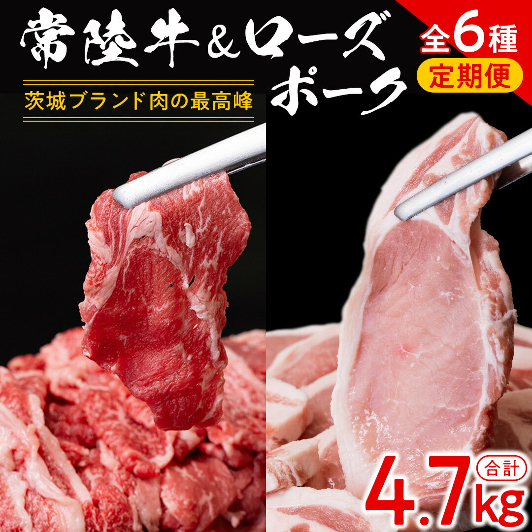 【ふるさと納税】【 茨城ブランド肉の最高峰 】ローズポーク ＆ 常陸牛 贅沢 定期便 ( 全6種 ) ブランド豚 銘柄豚 豚肉 お肉 にく ロース 生姜焼き しゃぶしゃぶ 焼肉 バーベキュー とんかつ ポークソテー 牛肉 和牛 ギフト 贈答 贈り物 国産 茨城県産 茨城県共通返礼品