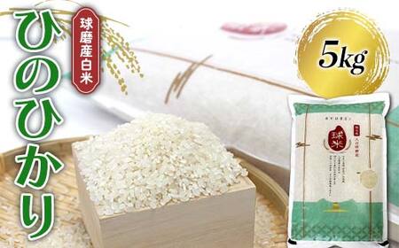 FKP9-678 【令和7年度産】球磨産白米 ひのひかり 5kg 新米 白米 精米 ふっくら 国産米 おすすめ 農家