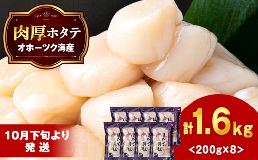 【10月下旬以降発送】ほたて 貝柱 冷凍 200ｇ(15粒前後)×8パック お取り寄せ 刺身 《横田水産》