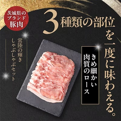 【毎月定期便】茨城銘柄豚肉 常陸の輝き しゃぶしゃぶセット(ローズ・肩ロース・バラ)1.2kg全6回【配送不可地域：離島・沖縄県】