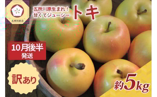 【2025年10月後半発送】訳あり トキ 約5kg