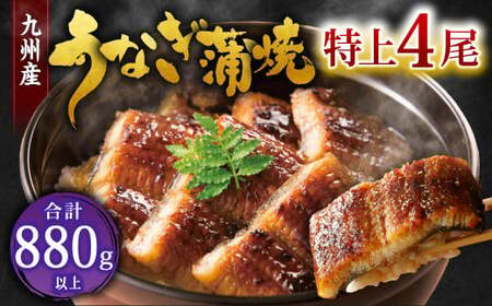九州産 うなぎ 蒲焼 特上4尾 計880g以上 (1尾あたり220～235g)【2025年10月発送】