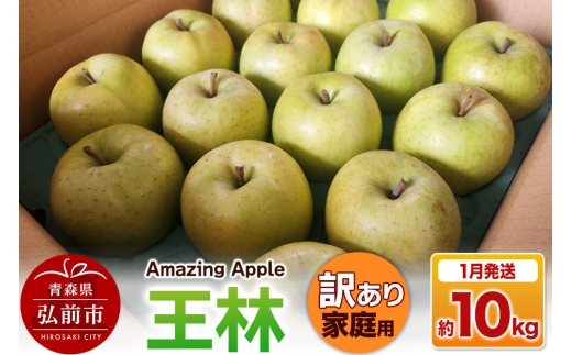 【27年1月発送】りんご 王林【訳あり】家庭用 約10kg [りんご 王林 訳あり 家庭用 10kg アップル おいしい 果実 果物 黄色 美味 林檎 青森県 弘前市]