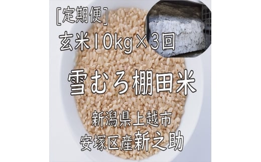 令和7年 新潟県産 棚田米 新之助 玄米 定期便 30kg 30キロ (10kg×3回) 雪中貯蔵 雪むろ しんのすけ お米 こめ 新潟 上越 米 送料無料