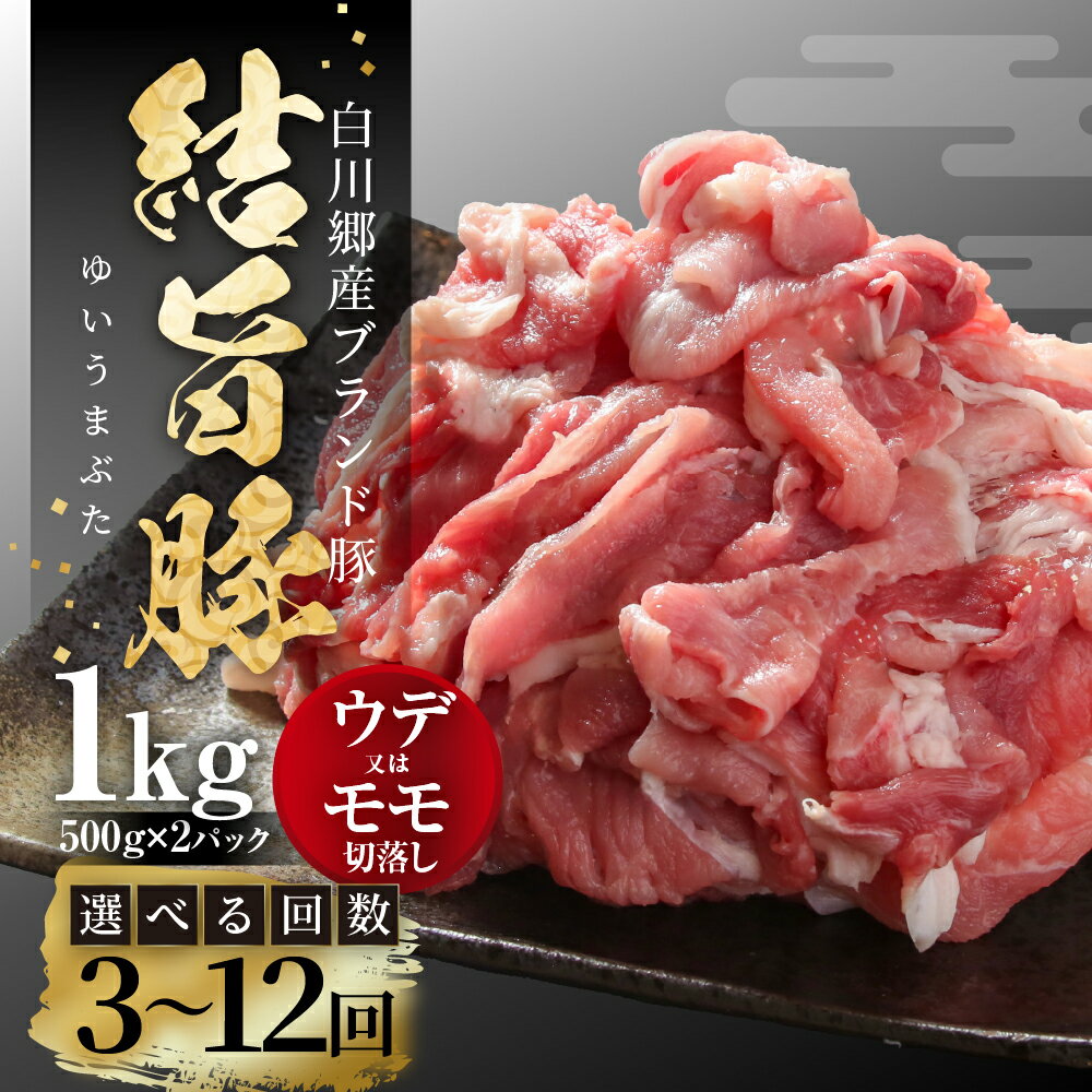 【ふるさと納税】《定期便》選べる お届け回数 全3回 全6回 全12回 結旨豚 ウデ又はモモ 切り落とし 500g×2パック (1kg)冷凍真空パック 肉 お肉 豚肉 国産 食べ比べ セット 白川郷 岐阜県 白川村 ブランド豚 人気 おすすめ ギフト 飛騨高山ミート 30000円 60000円 120000円