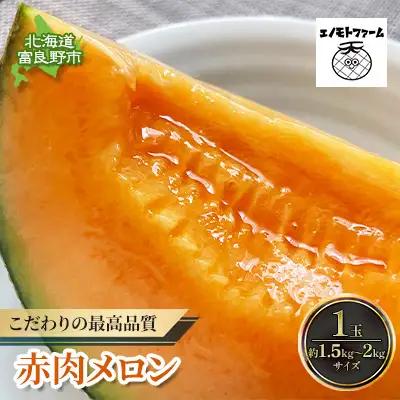 メロン 富良野産 赤肉メロン 榎本農園 フルーツ 【1玉 1.5～2kg】【先行予約】