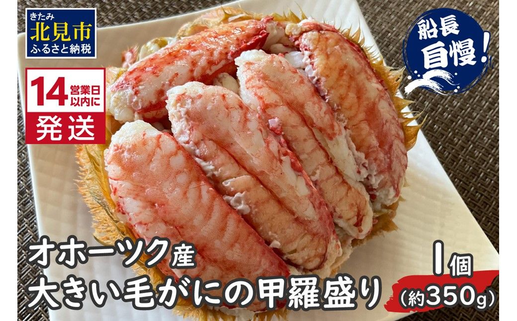 《14営業日以内に発送》オホーツク産 大きい毛がにの甲羅盛り 1個入り 冷凍 ( 毛がに かに カニ 蟹 魚介類 北海道 旨い逸品 チーズ グラタン オホーツク海 )【114-0075】