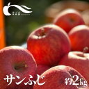 【ふるさと納税】No.0150あづま果樹園 りんご「サンふじ」約2kg【2024年度発送】