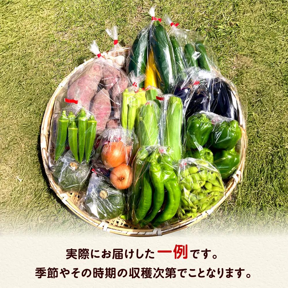 【全3回定期便】 米ぬかで育てた！旬のお野菜＆平飼い卵セット ベジ彩ファーム[AOEJ005] 野菜